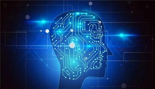 教育部支持七專業 計算機軟件技術開發能否成為熱門？